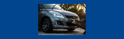 Maruti Suzuki Logo - Car Manufacturer